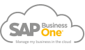 sap cloud partner